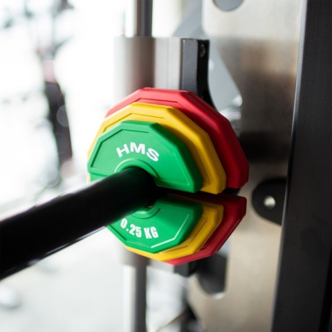 TSN25 2 x 0.25 KG TALERZ NA SPRZĘT DO TRENINGU SIŁOWEGO I FITNESS TYPU NAKŁADKA 2 x 0.25 KG HMS