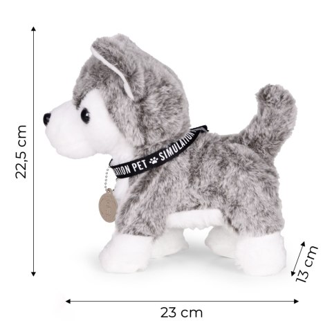 Interaktywny piesek na smyczy husky chodzi i merda ogonem melodyjki