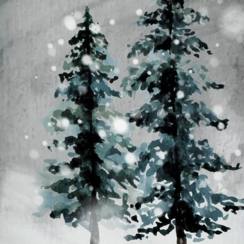 SW/POS/FOREST 220X200 70X80/X2