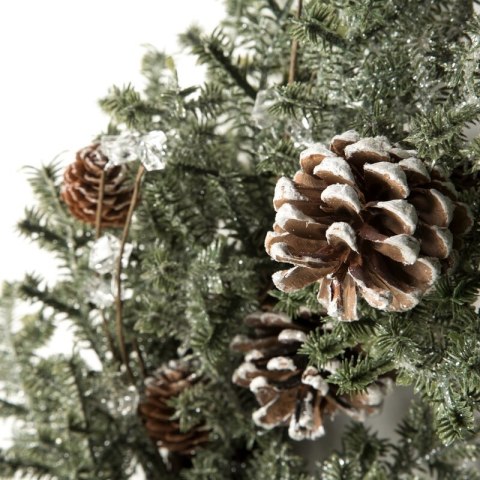 SW/WIANEK/06 40CM ZIEL+BR