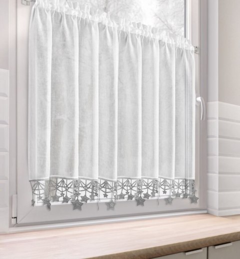 SW/XMAS/FIR/2/SR 90X150 TUNEL