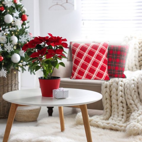 ŚWIĄTECZNA POSZEWKA GRID 45 X 45 CM CZERWONY