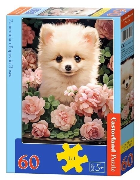 PUZZLE 60EL. POMERANIAN PUPPY