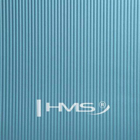 YM07 BLUE MATA DO JOGI HMS