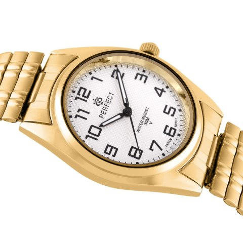 PERFECT X018-12 (zp396c)