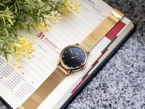ZEGAREK DAMSKI TIMEX Trend Originals TW2W19500 + BOX