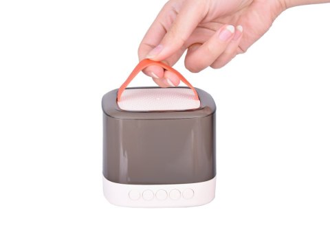 Głośnik Bluetooth + mikrofon bezprzewodowy x2 ZESTAW KARAOKE IN0178