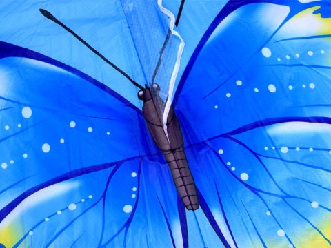 Lekki Latawiec MOTYL Bajecznie kolorowy latawiec dla dzieci ZA5570